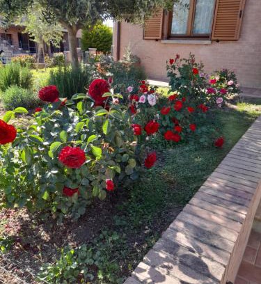Torrenieri Apartamento | Un passo alla volta