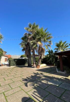 Capitolo Villa | Una Civetta al Mare