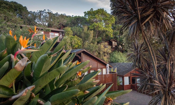 Knysna Complejo | Under Milkwood Resort