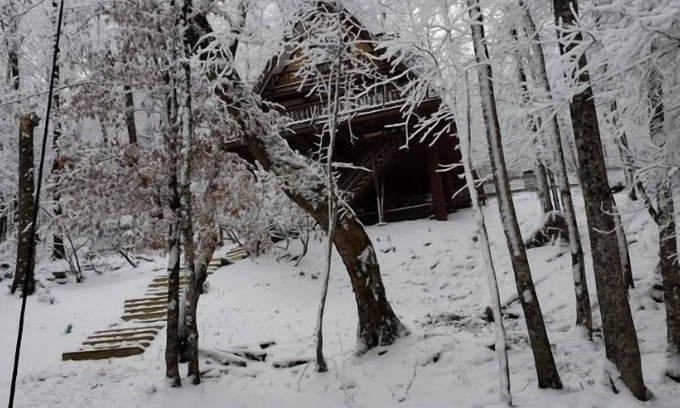 Beech Mountain Cabina | Unforgettable Dreams
