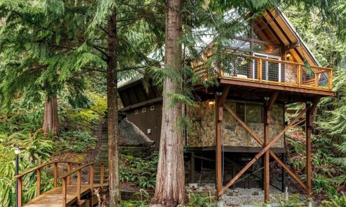 Sedro-Woolley Chalet De Esquí | Unique Alpine Chalet