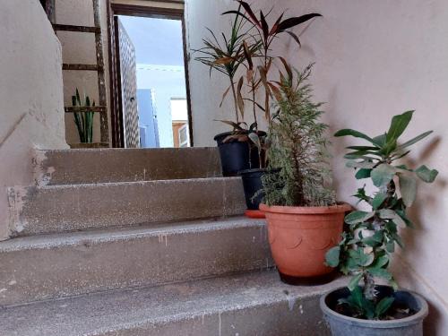 Shibin al Kawm Apartamento | Unique apartment