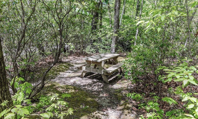 Lake Toxaway Cabina | Unique Cabin w/ Fire Pit and Tennis On Site