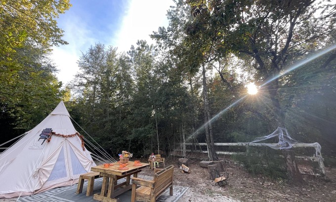 Tallahassee Alquiler De RV | Unique SandyLand FARMSTAYS GLAMPING TeePee w/ mini horses/cows/goats/chickens