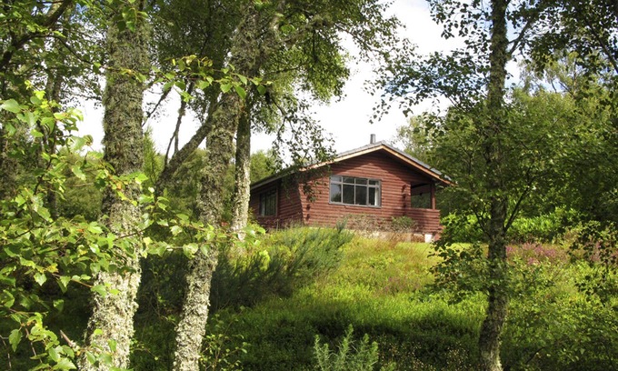Golspie Cabina | , Cabina Solo Iniciar único en arbolado privado con vistas al mar y cerca de las colinas