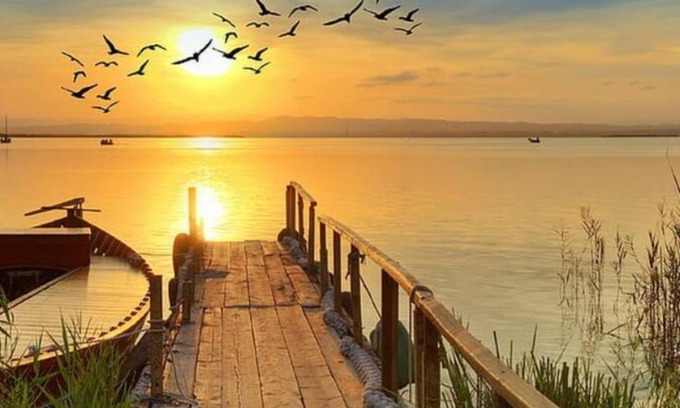 Midway-Pacific Highway Casa | Unlimited Adventure Awaits You! San Diego Fun, Fun