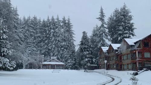 La Villa Apartamento | Unquehue Apartamentos Dormis