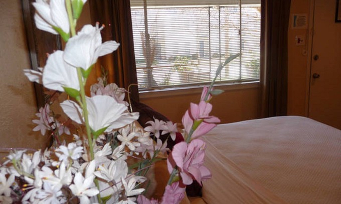 Knox - Henderson Apartamento | Uptown Dallas - Charming Studio 1B, WiFi, estacionamiento, cerca de restaurantes y tiendas y Sa