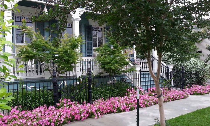 Uptown Historic District Apartamento | Uchown Encantamiento en el corazón de Nueva Orleans es una familia encantadora y amigable