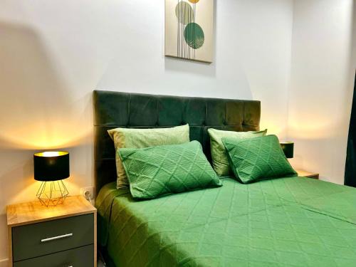 Stefanestii de Jos Apartamento | Uranus view Apartament