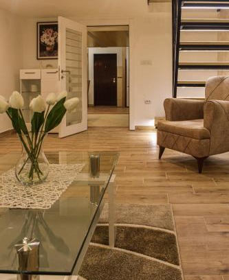 Vracar Apartamento | Urban Duplex