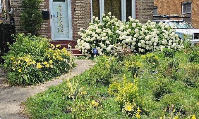 Jeffrey Manor Casa | Urban Oasis