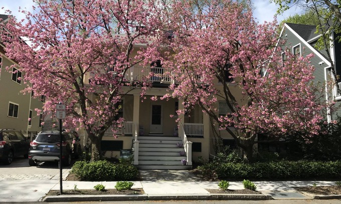 Allston Casa | Urban/Suburban 4-bedroom, 2-bath House for Summer Rental in Brookline, MA