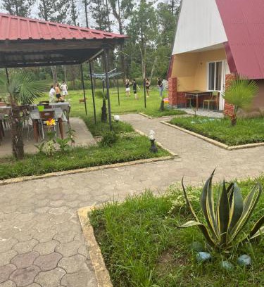 Ureki Apartamento | Ureki cottage Guria Street between 24- 26 Georgia Olympia