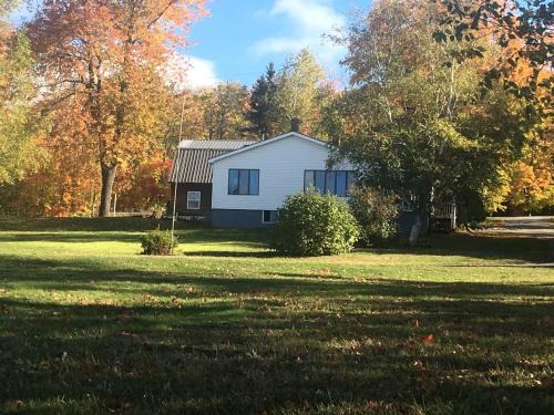 Portage Lake Casa | Embrace Nature in this Breathtaking Cottage in Portage Lake, Maine