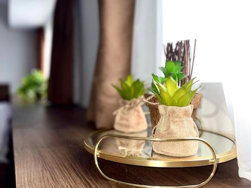 Bitola Apartamento | V&P Apartments