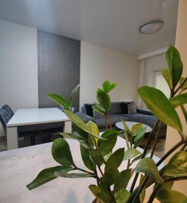 Druskininkai Apartamento | V15 Apartment