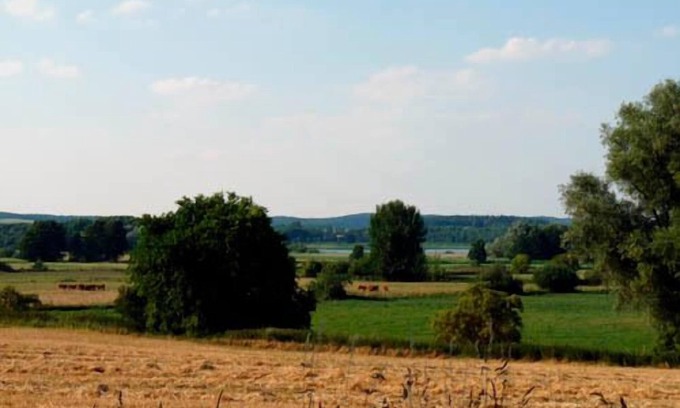 Muritz Apartamento | holiday apartment/apt. for 4 guests with 50m² in Vollrathsruhe (155873)