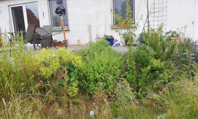 Korchow Apartamento | Vacation apartment/apartment for 4 guests with 75m² in Wittenburg (144958)