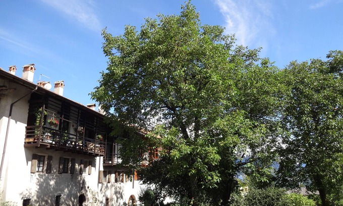 Fiave Apartamento | Apartamento entre el lago de Garda, Lago Tenno, Lago Molveno, TermeComano
