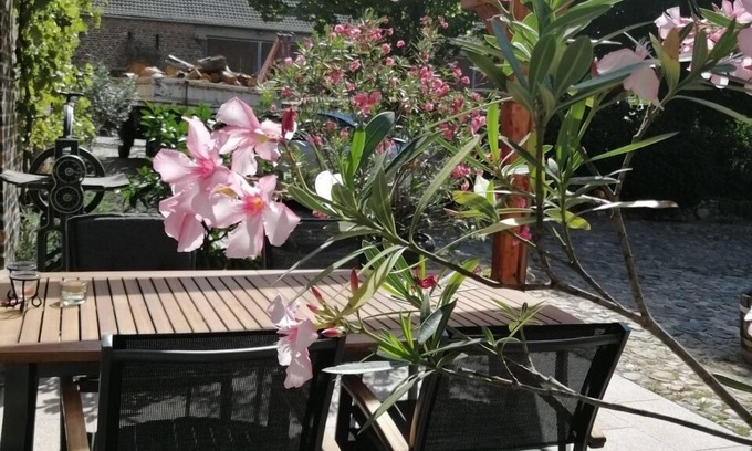 Rabenstein/Flaming Apartamento | Apartamento en un patio de cuatro lados con un gran jardín y un estanque de natación.
