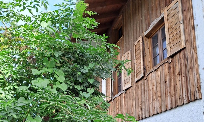 Oberwarngau Apartamento | Vacation apartment Sunseid'n - Holiday apartment Thurnhuber