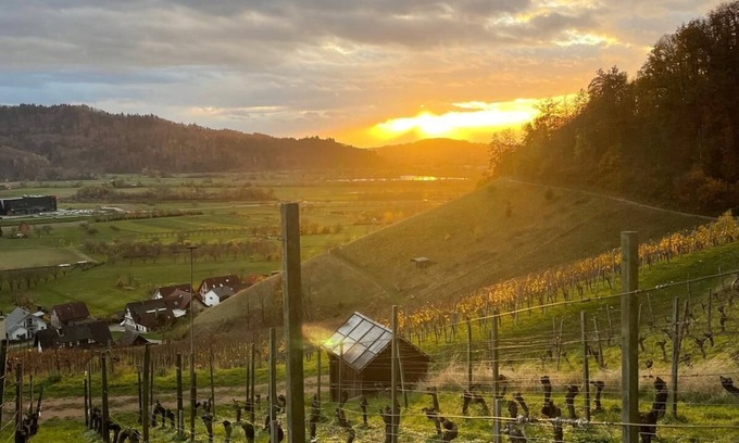 Ohlsbach Apartamento | Vacation apartment Winzerstube
