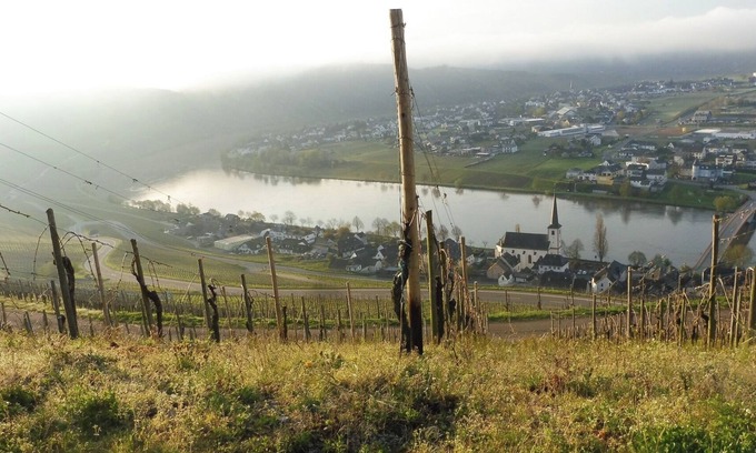 Piesport Apartamento | Vacation apartment with wonderful view of the Moselle, quiet location, garden, parking, wifi