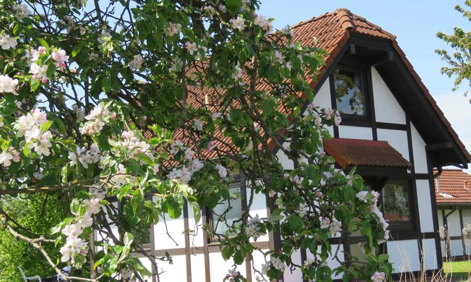 Hollern Casa | Casa de vacaciones 171 Deichgraf 65qm hasta 6 personas con mascota - Holiday Deichgraf 65 en el pueblo de vacaciones
