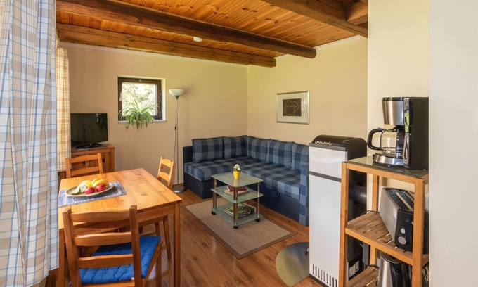 Burg-Dorf Apartamento | Vacation home, sleeping loft, 1 bedroom/kitchenette, shower/WC (from 12 years) - Froschkönig
