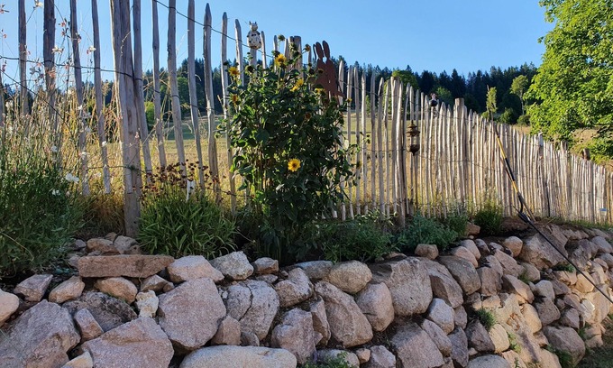 Blasiwald Apartamento | Vacation with dog away from the forest near Schluchsee