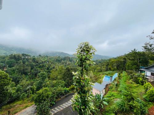 Elappara Casa | Vagamon Hillvalley Pool Resort