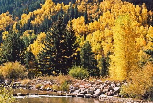Vail Complejo | Vail Racquet Club Mountain Resort