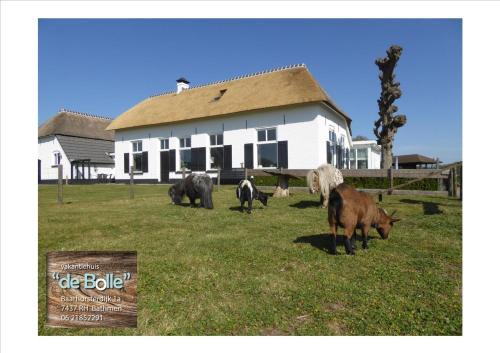 Bathmen Casa | Vakantiehuis 'De Bolle'