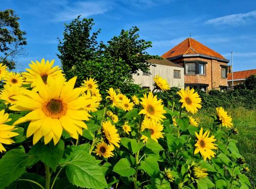 Leisele Casa | Vakantiehuis Louiselotte