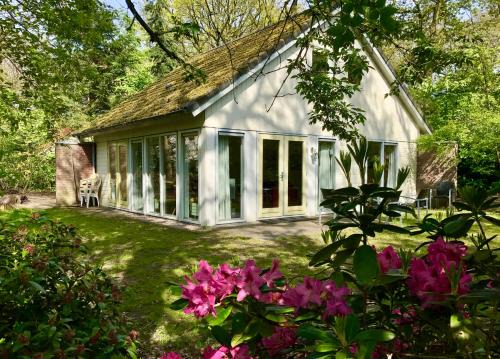 Oudemirdum Casa | Vakantiewoning Tjiftjaf in "Het Fonteinbos"