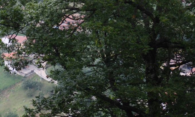 Vigidel Apartamento | Apartamentos Valdecarzana . Braña Vigidel Senda del Oso