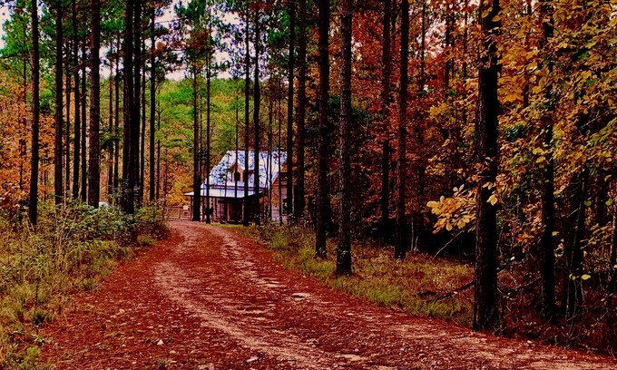 Mentone Cabina | Nueva y tradicional cabaña de troncos de Kentucky EN EL RÍO ¡NUEVA CONSTRUCCIÓN! Lo mejor en Mentone
