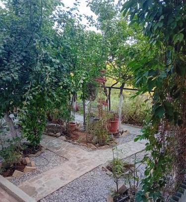 Tanagra Casa | Vasiliki