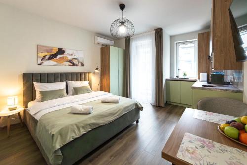 Baia Mare Apartamento | Velunia Residence
