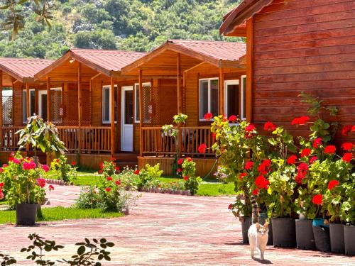 Adrasan Otro | Venüs Gold Bungalov Adrasan