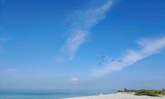 Golden Beach Apartamento | Venice Island's Paradise By The Sea