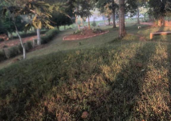 Buwama Casa | Venna Farm Lodge