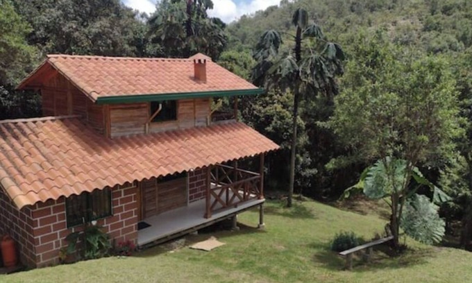El Rosario Cabina | Verde Vivo - Divina cabaña en medio del bosque
