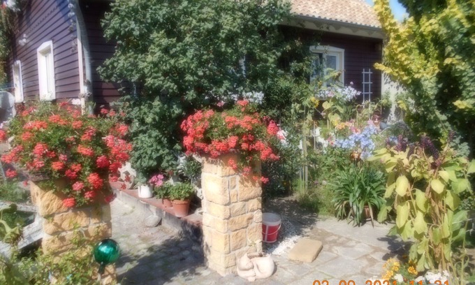 Dankerode Apartamento | Vermiete Sehr Schönes Apartment/ferienwohnung in Dankerode im Harz