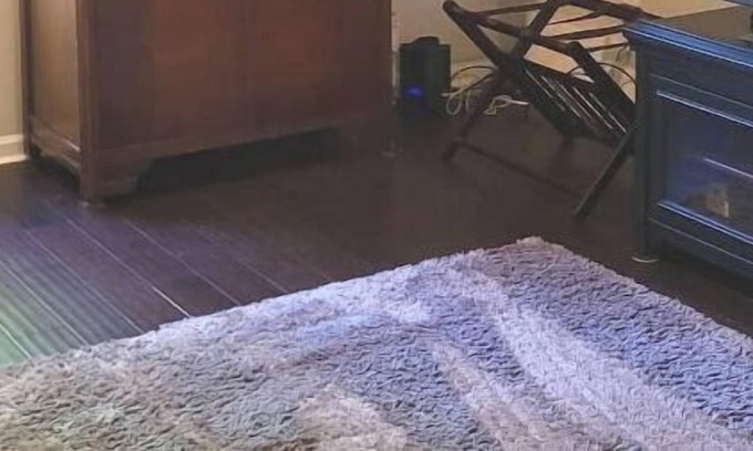 Apex Casa | Very Private Carriage House Studio!