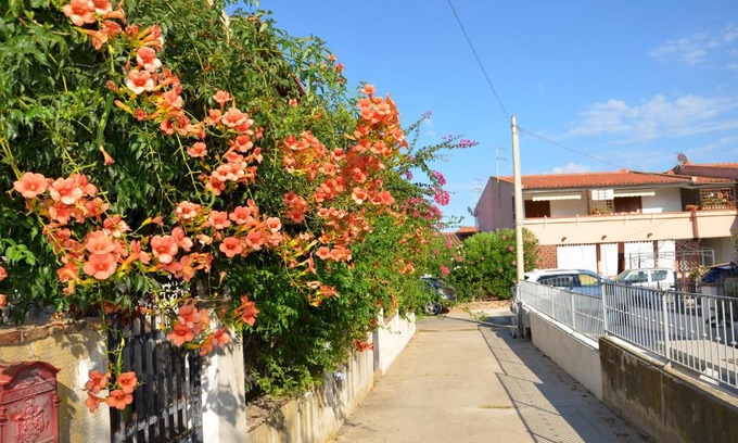 Porto Ottiolu Apartamento | Via Delle Ginestre - FPO-GINEBIG - GINELIT