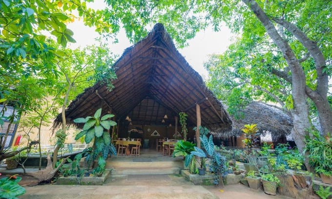 Habarana Hotel | Vibes - Habarana