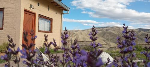 Potrerillos Chalet De Esquí | Vidatierra