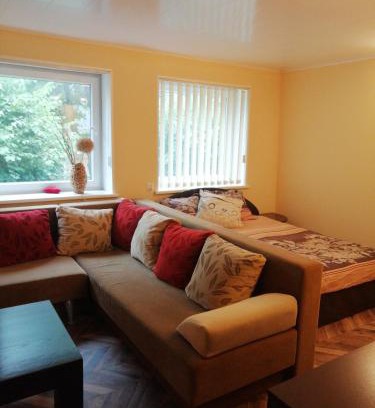 Kintai Apartamento | Vieno kambario butas